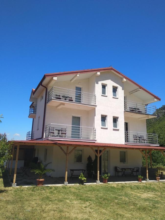 The Brothers Villa Hotel 奥赫里德 外观 照片