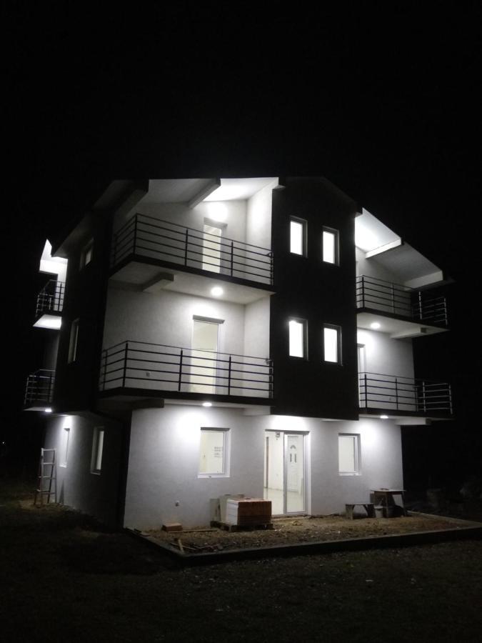 The Brothers Villa Hotel 奥赫里德 外观 照片
